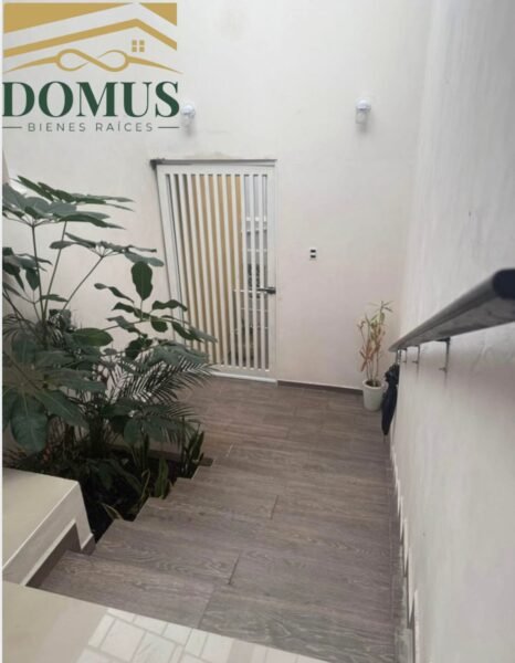 Departamento 20 de Noviembre