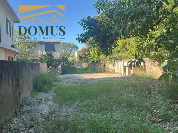 Terreno Colonia Tamaulipas