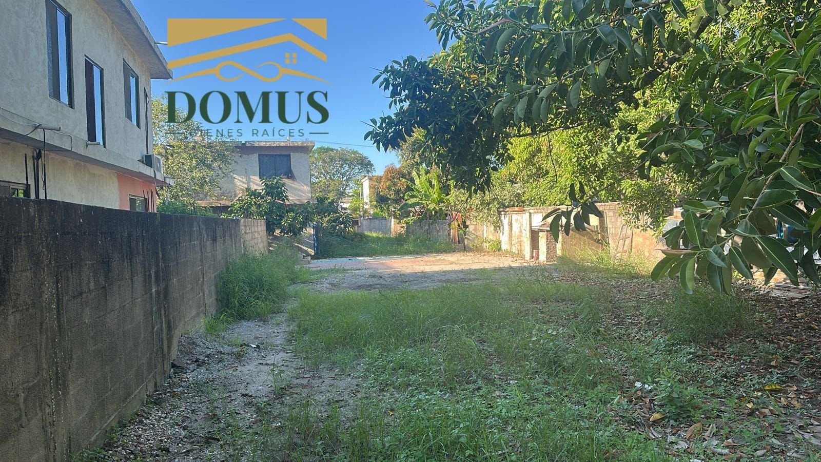 Terreno Colonia Tamaulipas