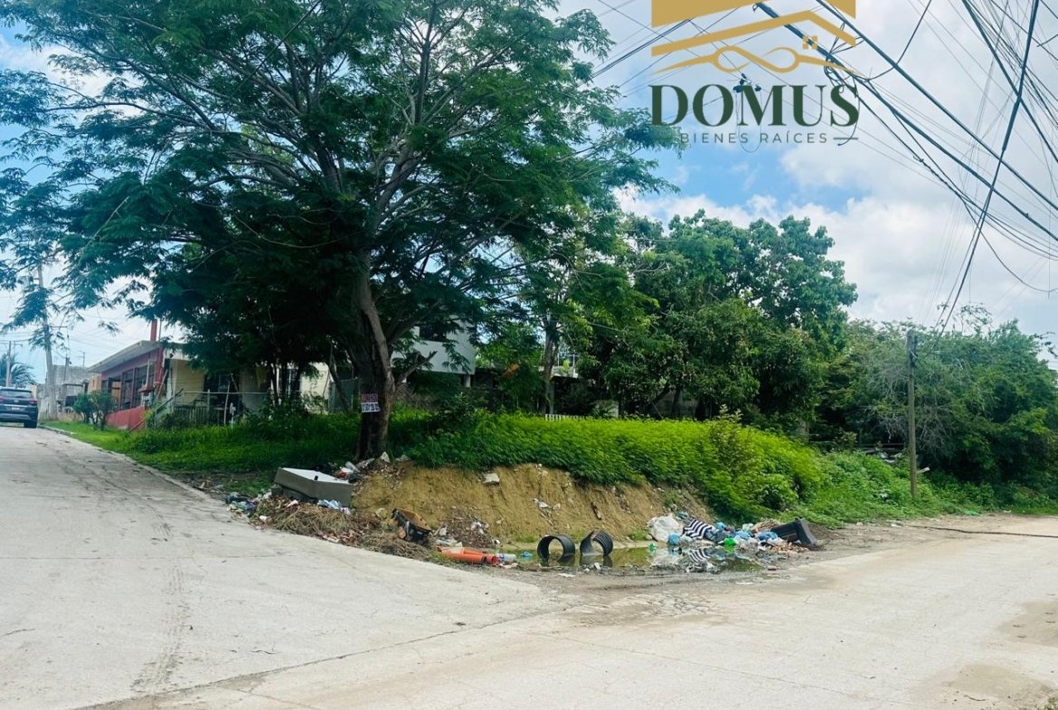Excelente Terreno Colonia Jardines de Champayan