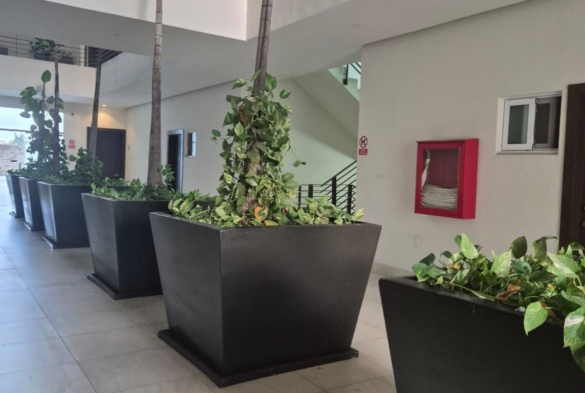 Exclusivo Departamento en Renta Faja de Oro Torre 811